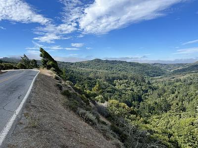 Muir Woods Loop