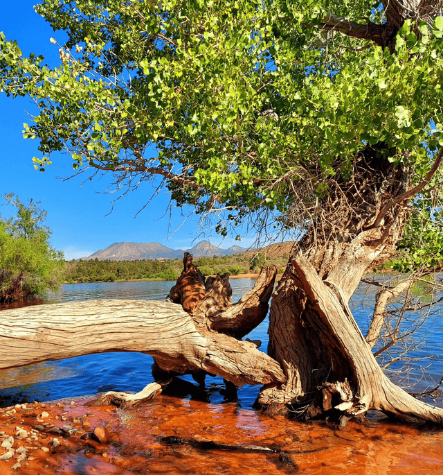 Gunlock Reservoir