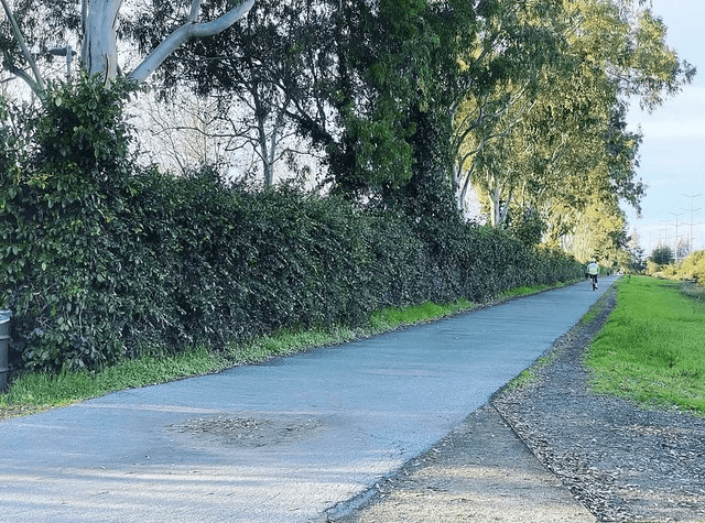 Iron Horse Regional Trailhead