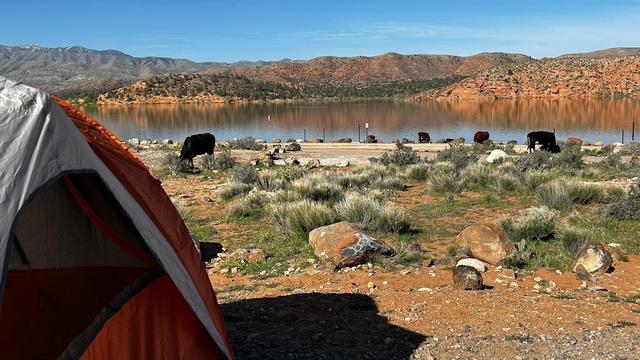 Gunlock State Park Campground