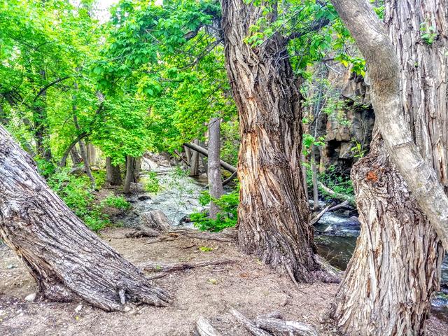 Baker Dam Campground