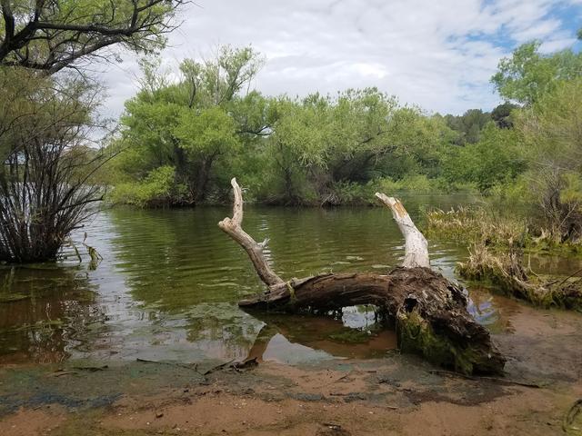 Baker Dam Campground