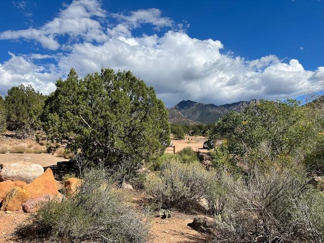 Baker Dam Campground