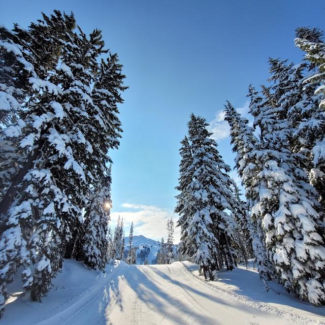 Mt. Bachelor Nordic Center