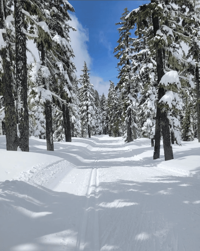 Mt. Bachelor Nordic Center