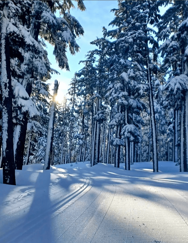 Mt. Bachelor Nordic Center