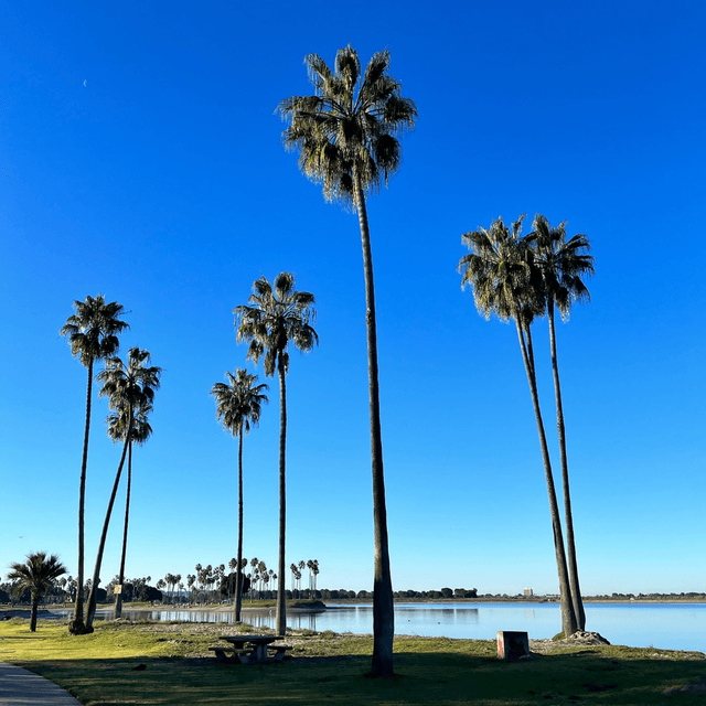 Mission Bay Park