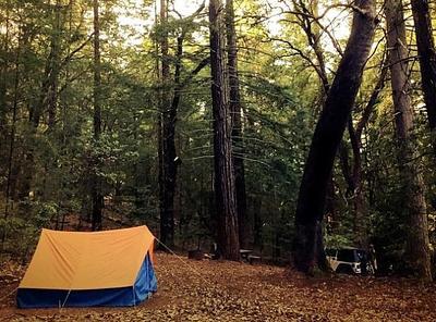 Henry Cowell Redwoods State Park Campground