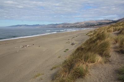 Bodega Dunes Campground