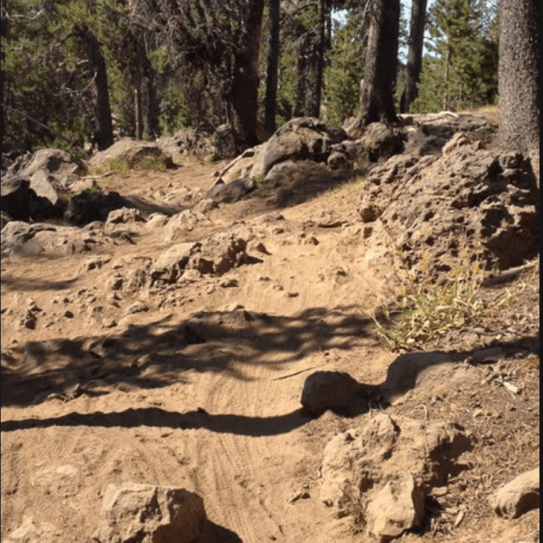 Wannoga Trailhead (Tiddlywinks & Funner trails)