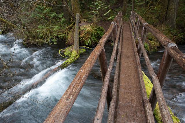 McKenzie River Trailhead