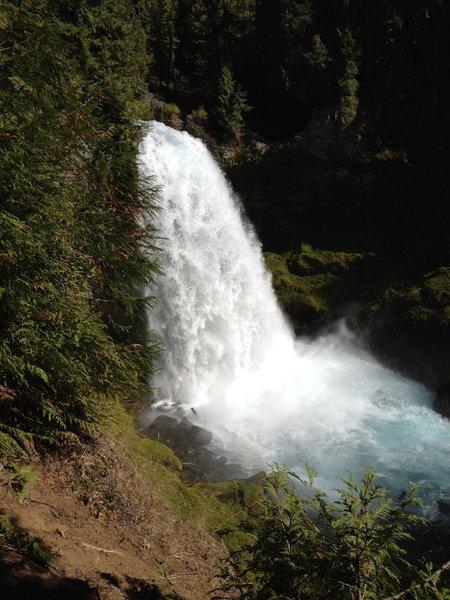 McKenzie River Trailhead