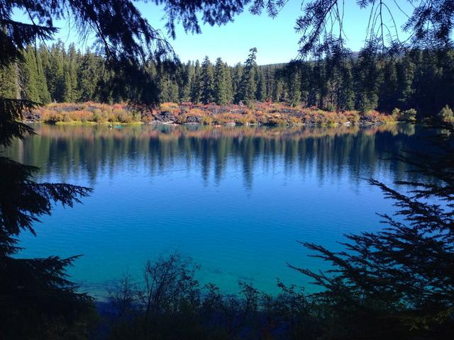 McKenzie River Trailhead