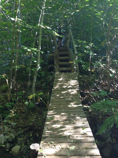 McKenzie River Trailhead