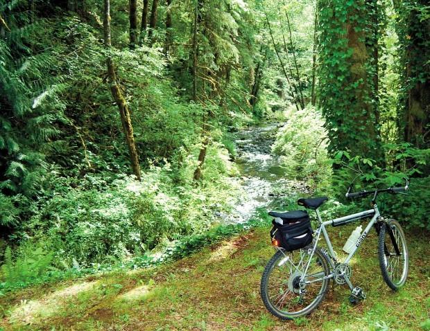 Crown Zellerbach Trail