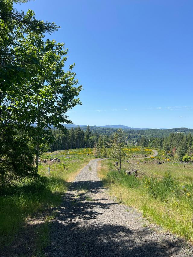 Crown Zellerbach Trail