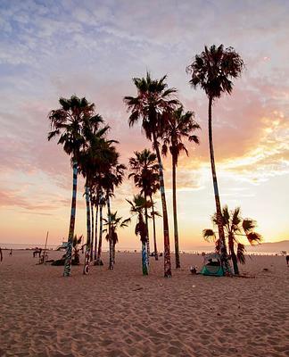 Venice Beach