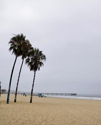 Venice Beach