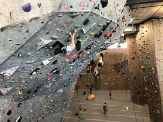 Movement Climbing & Fitness