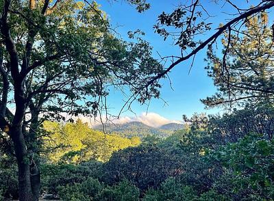 North Shore Family Campground 