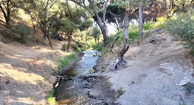 Malibu Creek State Park Campground