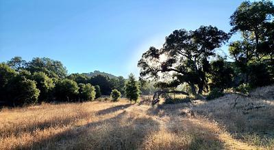 Malibu Creek State Park Campground