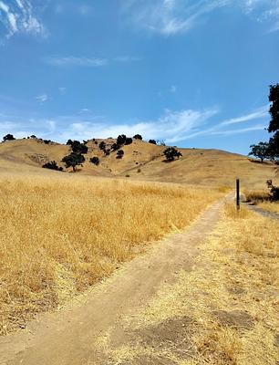 Malibu Creek State Park Campground