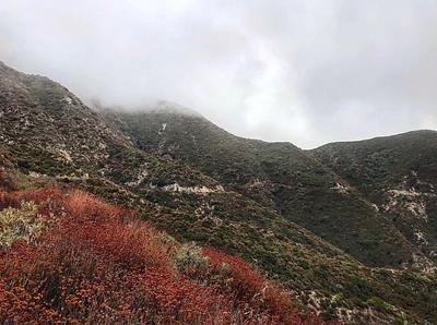 Ken Burton Trailhead