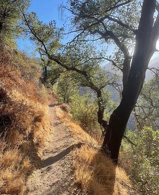 Ken Burton Trailhead