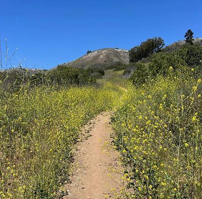 Portuguese Bend Reserve Trailhead