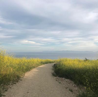 Portuguese Bend Reserve Trailhead