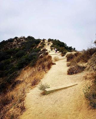 Runyon Canyon North Trailhead