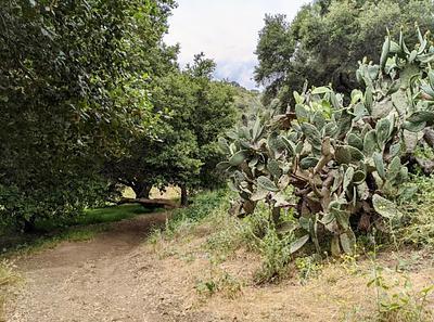 Hastain Trailhead