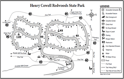 Henry Cowell Redwoods State Park Campground