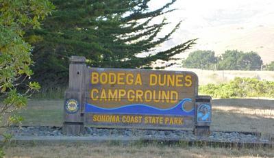 Bodega Dunes Campground