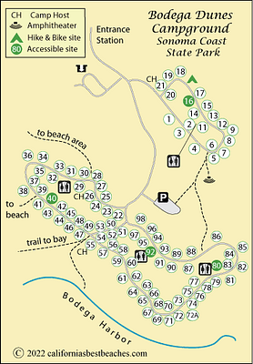 Bodega Dunes Campground