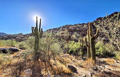 Kiwanis Trailhead