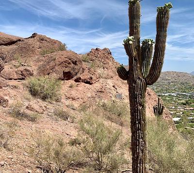 Kiwanis Trailhead