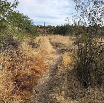 Emery Henderson Trailhead