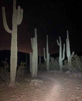 Emery Henderson Trailhead