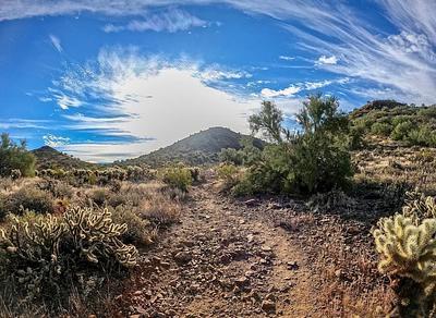 Hawks Nest Trailhead