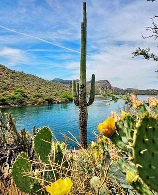 Saguaro Lake