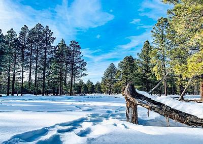 Arizona Nordic Village